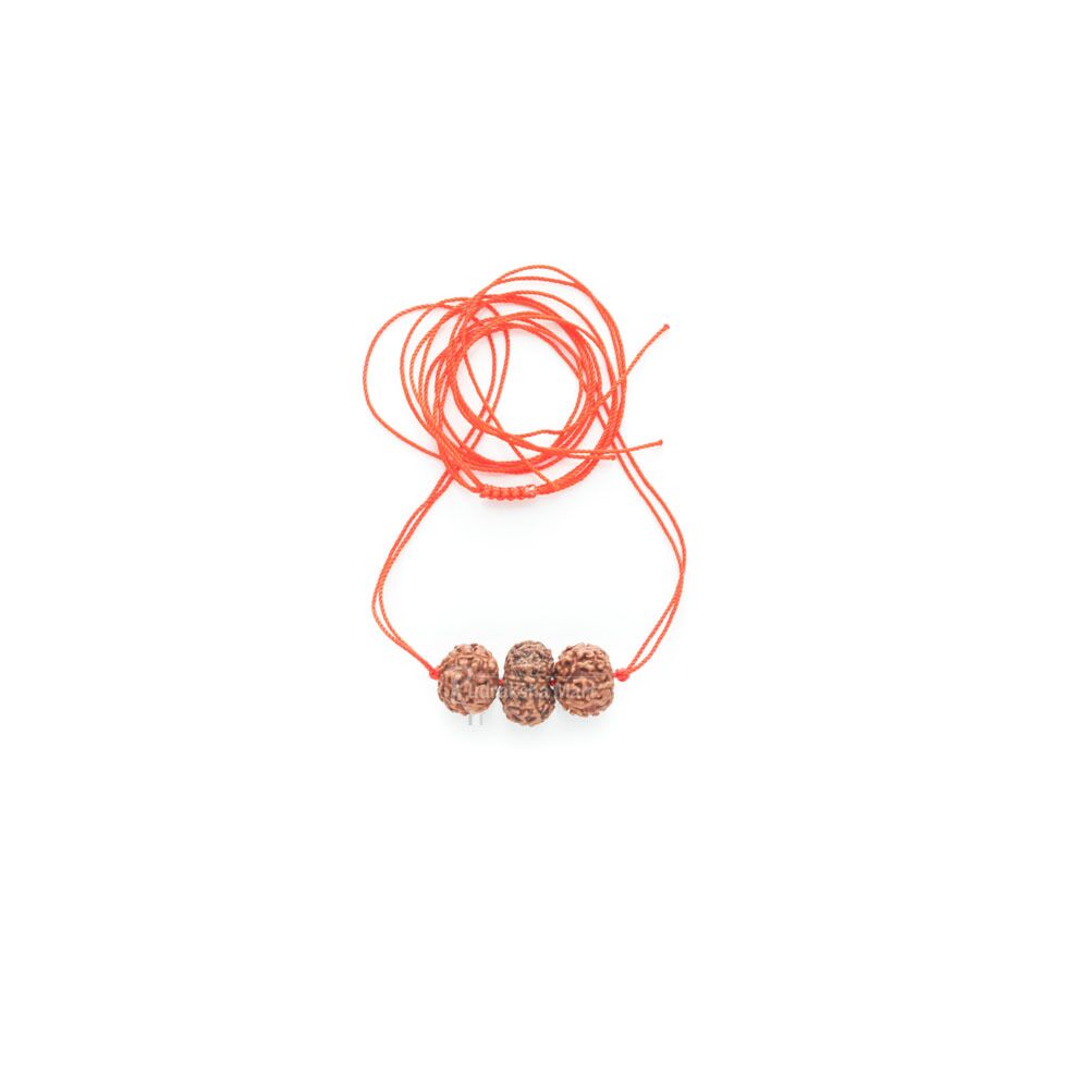 6 Mukhi and 13 Mukhi Java Rudraksha Beads Combination Mala - Mohini Mala without 5 Mukhi Mala in India, US, UK, Australia, Europe