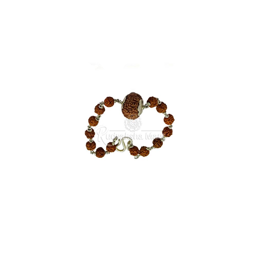 10 Mukhi Java and 5 Mukhi Java Rudraksha Narayan Shakti Bracelet In Pure Silver in India, US, UK, Australia, Europe