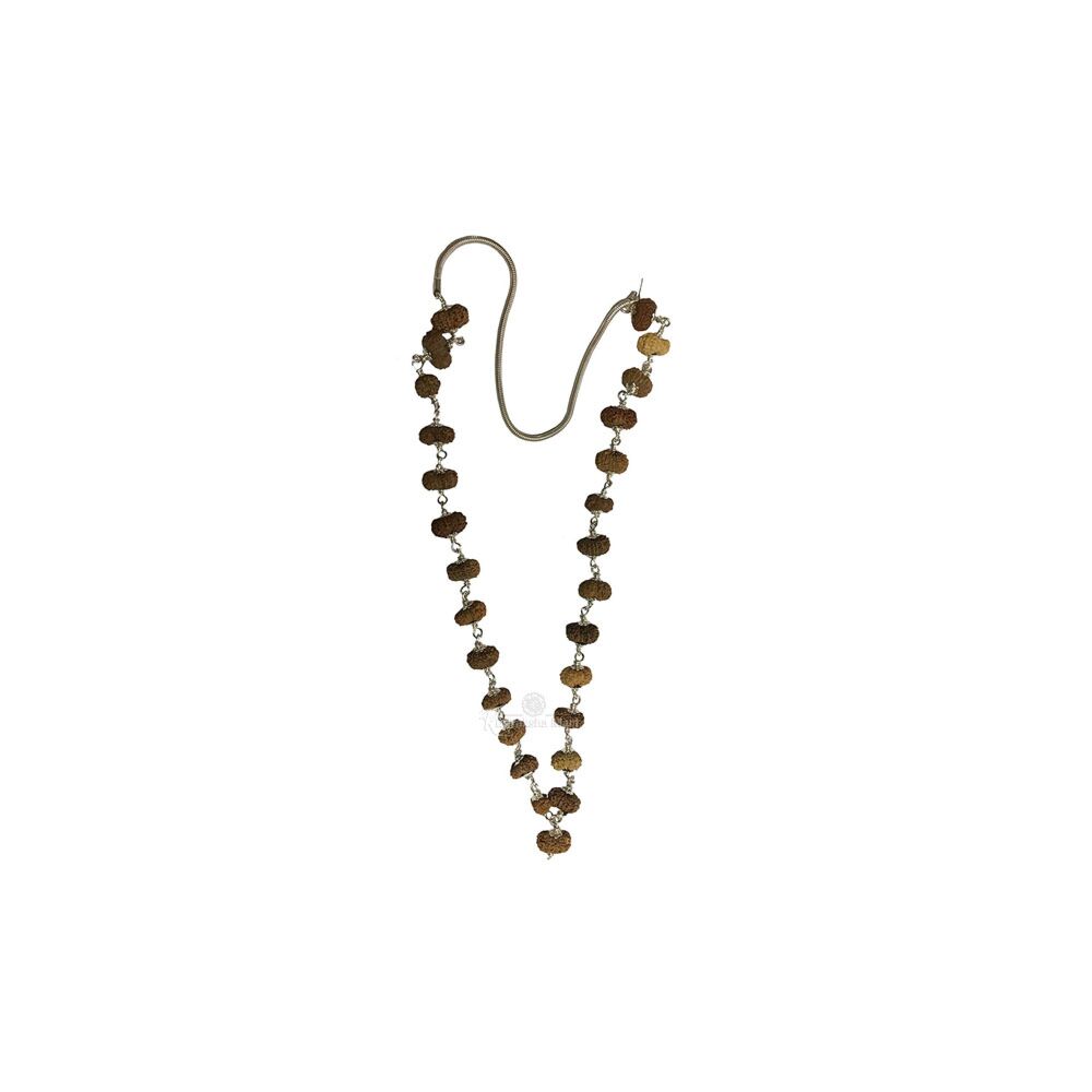 11 Mukhi Java Rudraksha Mala in Pure Silver - 27 Beads in India, US, UK, Australia, Europe