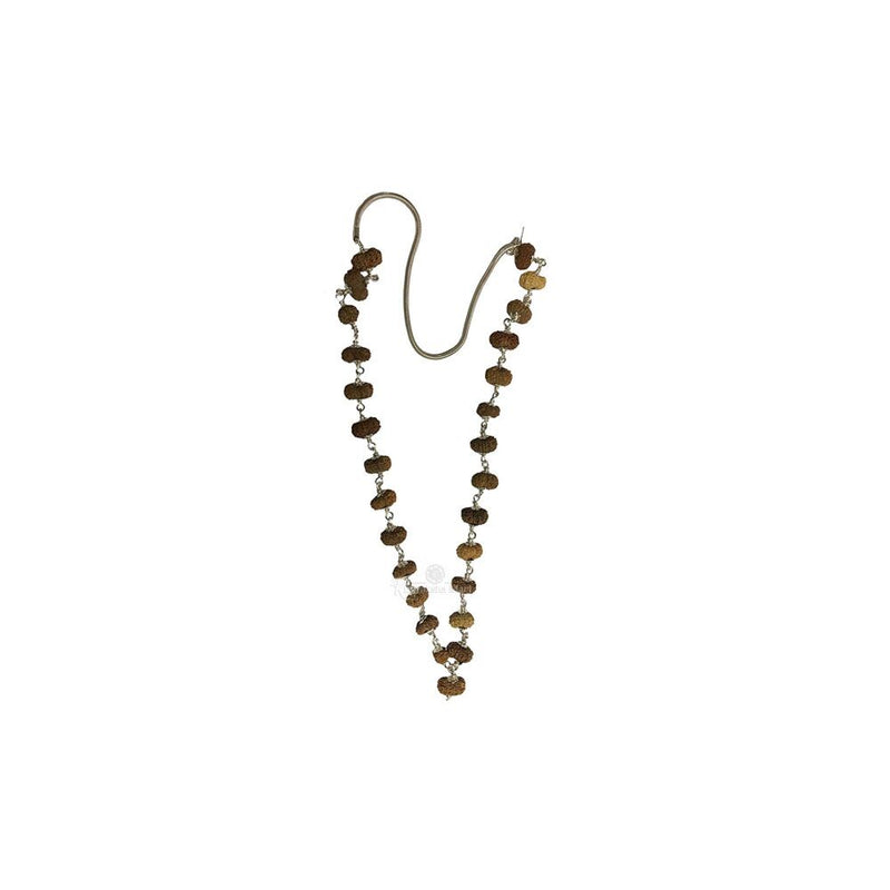10 Mukhi Java Rudraksha Mala in Pure Silver - 27 Beads in India, US, UK, Australia, Europe