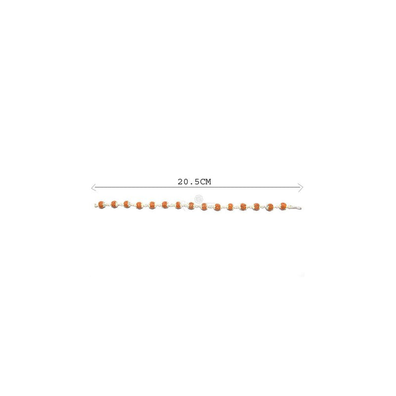 6 Mukhi Java Rudraksha in Pure Silver Capping Bracelet in India, US, UK, Australia, Europe