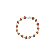 5 Mukhi Rudraksha Bracelet In Pure Silver in India, US, UK, Australia, Europe