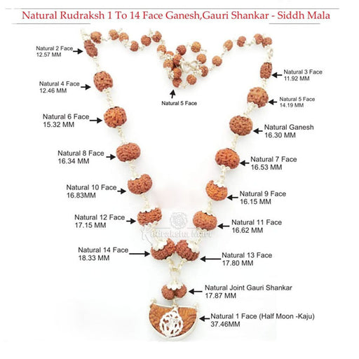 1 to 14 Mukhi Java Rudraksha Beads Siddha Mala In Pure Silver with 5 Mukhi Rudraksha Lab Certified in India, US, UK, Australia, Europe
