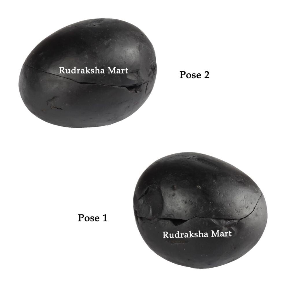 Laxmi Narayan Auspicious Shaligram Stone in India, US, UK, Australia, Europe