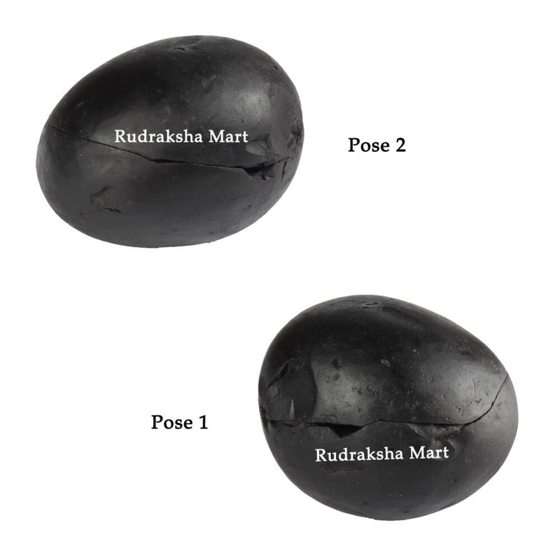 Laxmi Narayan Auspicious Shaligram Stone in India, US, UK, Australia, Europe