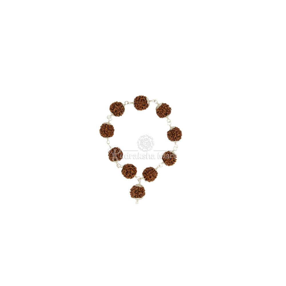 7 Mukhi Nepali Rudraksha in Pure Silver - Mahalaxmi Bracelet in India, US, UK, Australia, Europe