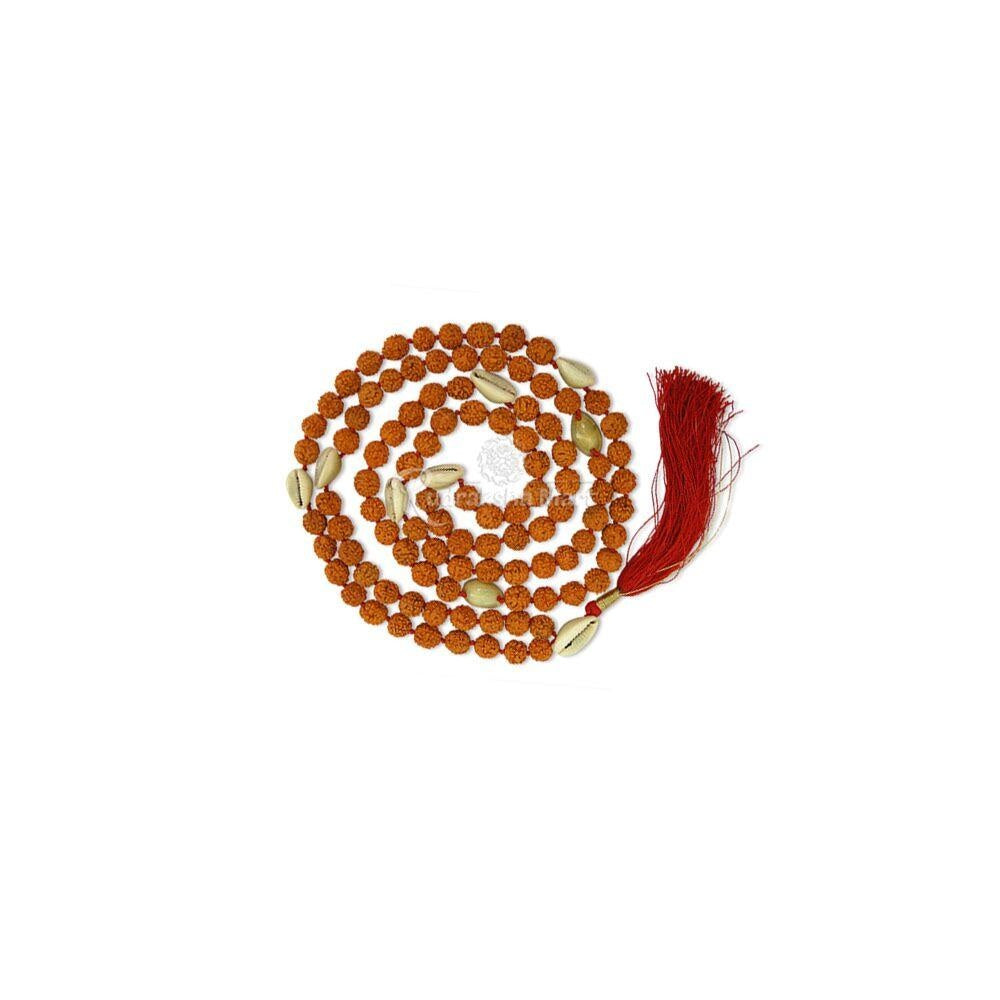 5 Mukhi Java Rudraksha with Kauri Mala in India, US, UK, Australia, Europe