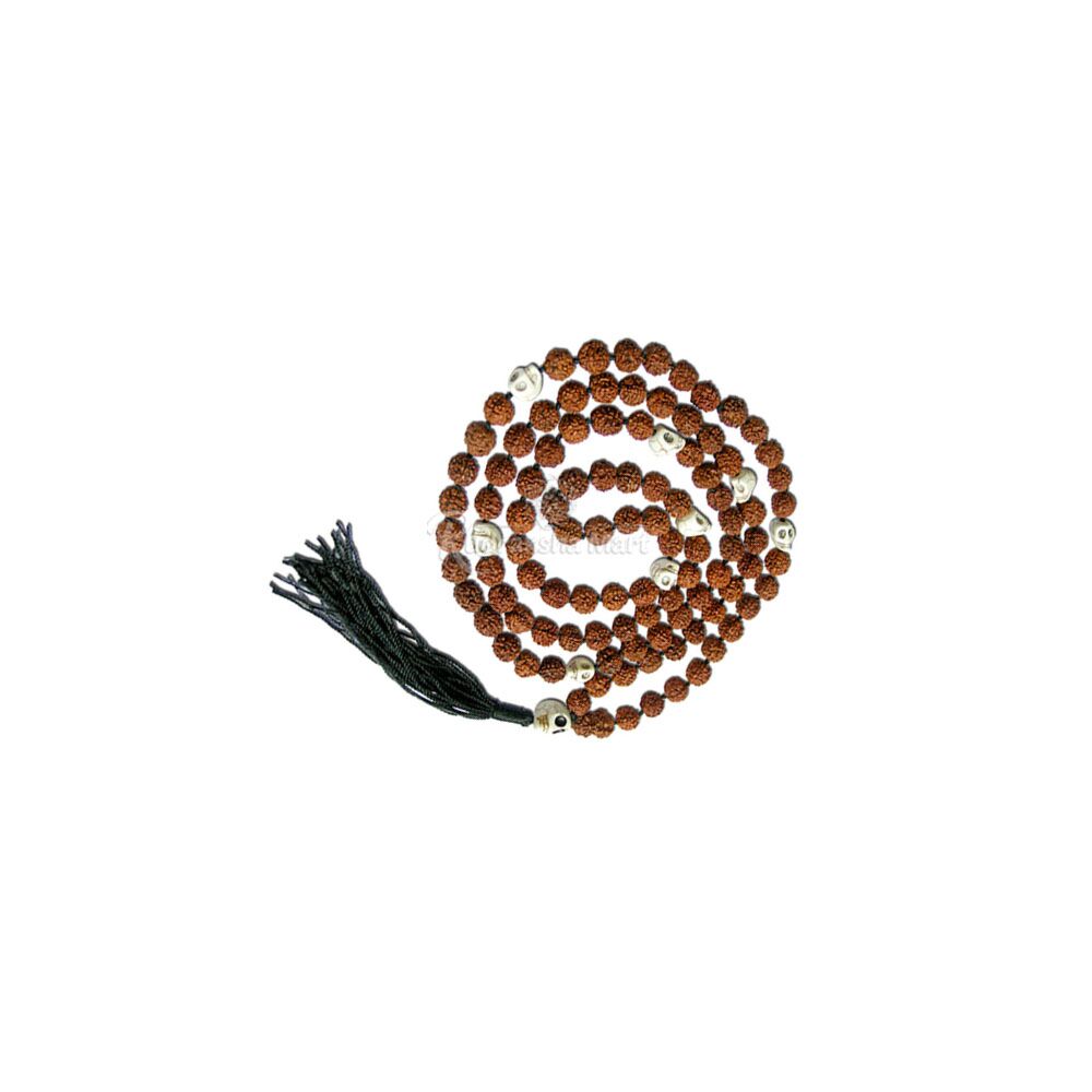 5 Mukhi Java Rudraksha with Skull Mala (Narmund Mala) in India, US, UK, Australia, Europe