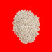 White Sesame Seeds/ White Till in India, US, UK, Australia, Europe