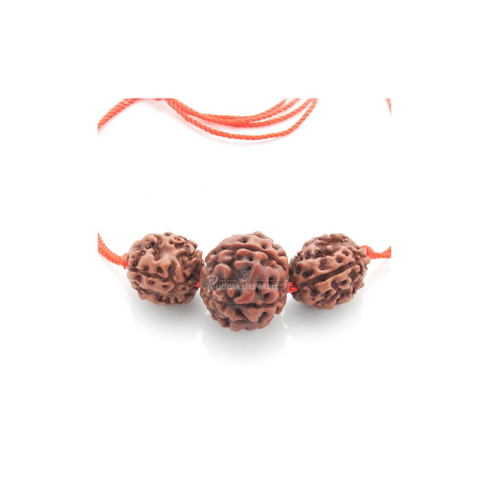 4 Mukhi and 6 Mukhi Java Rudraksha Beads Combination Mala - Saraswati Mala in India, US, UK, Australia, Europe