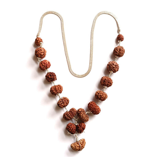 1 to 14 Mukhi Nepali Rudraksha Siddha Mala in 92.5% Silver Quality with Silver Chain Size 20-25 mm Lab Certified in India, US, UK, Australia, Europe