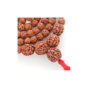 3 and 5 Mukhi Java Rudraksha Beads Combination Mala - Swasthya Mala in India, US, UK, Australia, Europe