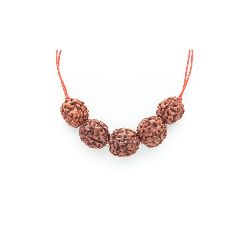 3 and 5 Mukhi Java Rudraksha Beads Combination Mala - Swasthya Mala in India, US, UK, Australia, Europe