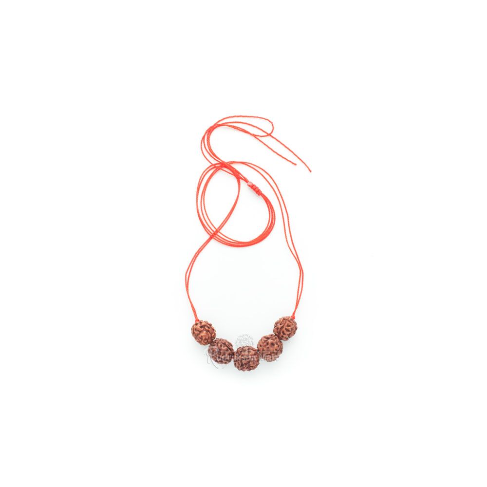 3 and 5 Mukhi Java Rudraksha Beads Combination Mala - Swasthya Mala without 5 Mukhi Mala in India, US, UK, Australia, Europe
