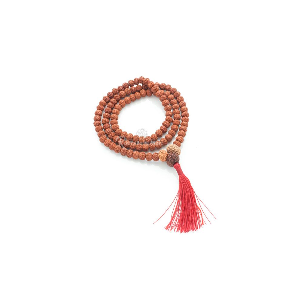10, 11 and 16 Mukhi Java Rudraksha Beads Combination Mala - Victory Mala With 5 Mukhi Mala in India, US, UK, Australia, Europe