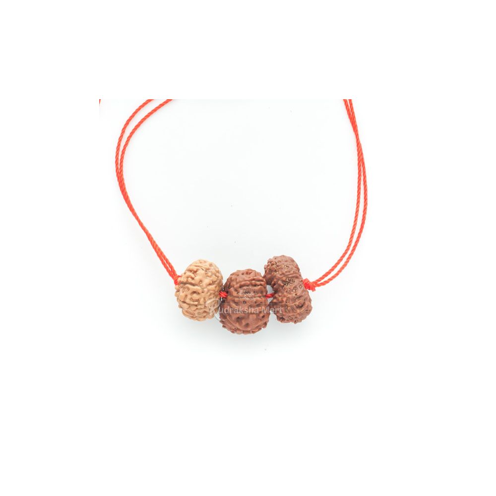 10, 11 and 16 Mukhi Java Rudraksha Beads Combination Mala - Victory Mala without 5 Mukhi Mala in India, US, UK, Australia, Europe