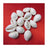 Natural Original White Kawdi for Laxmi Pooja in India, US, UK, Australia, Europe