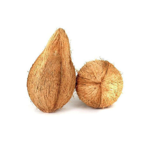 Natural Ekakshi Nariyal / One Eye Coconut for Puja used rare for Prayer Offering And Havan in India, US, UK, Australia, Europe