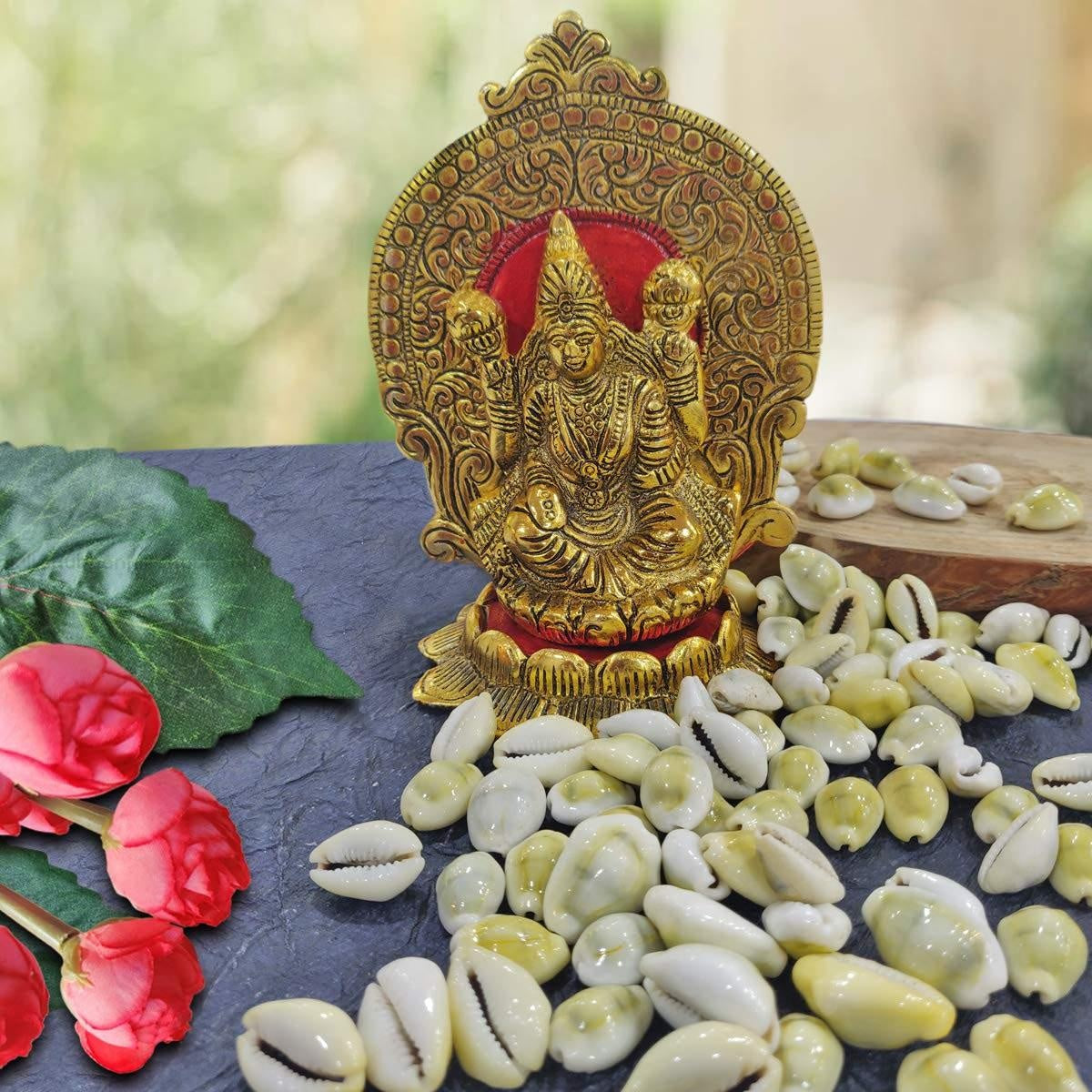 Natural Original Yellow Kawdi for Laxmi Pooja in India, US, UK, Australia, Europe