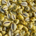 Natural Original Yellow Kawdi for Laxmi Pooja in India, US, UK, Australia, Europe